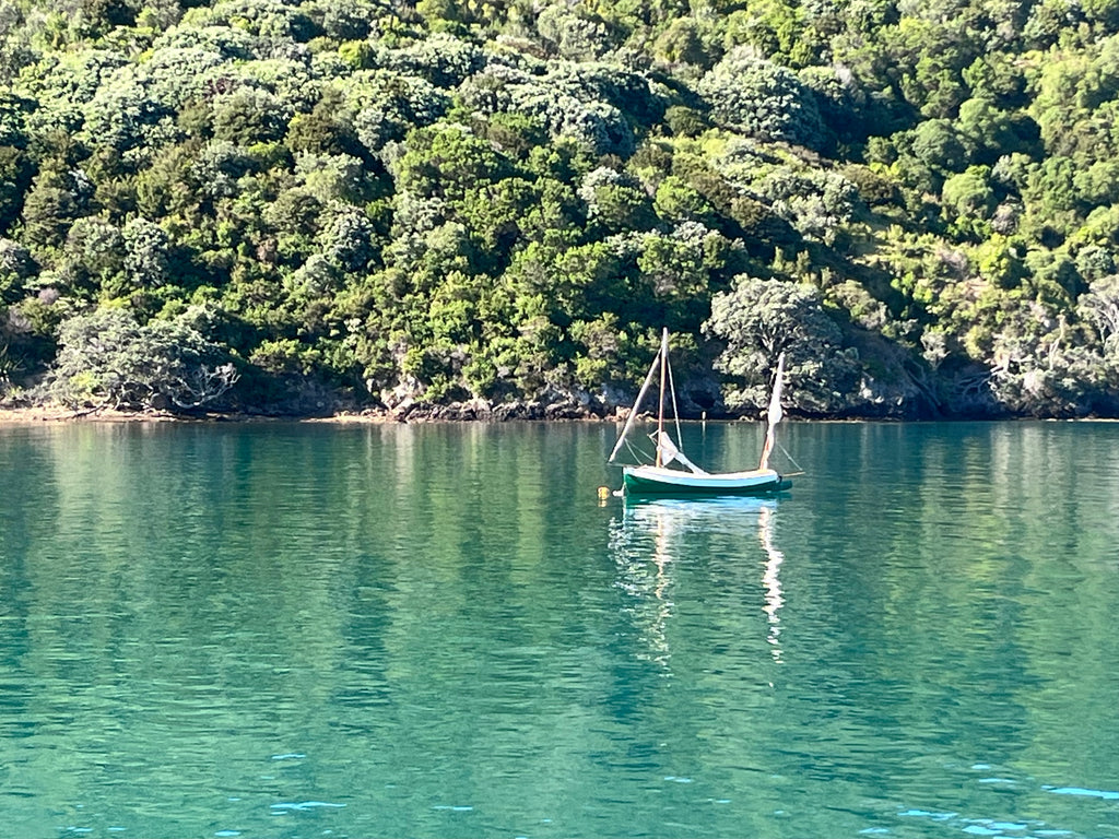 Sailing boat at Matiatia Waiheke Island - Motu Tours