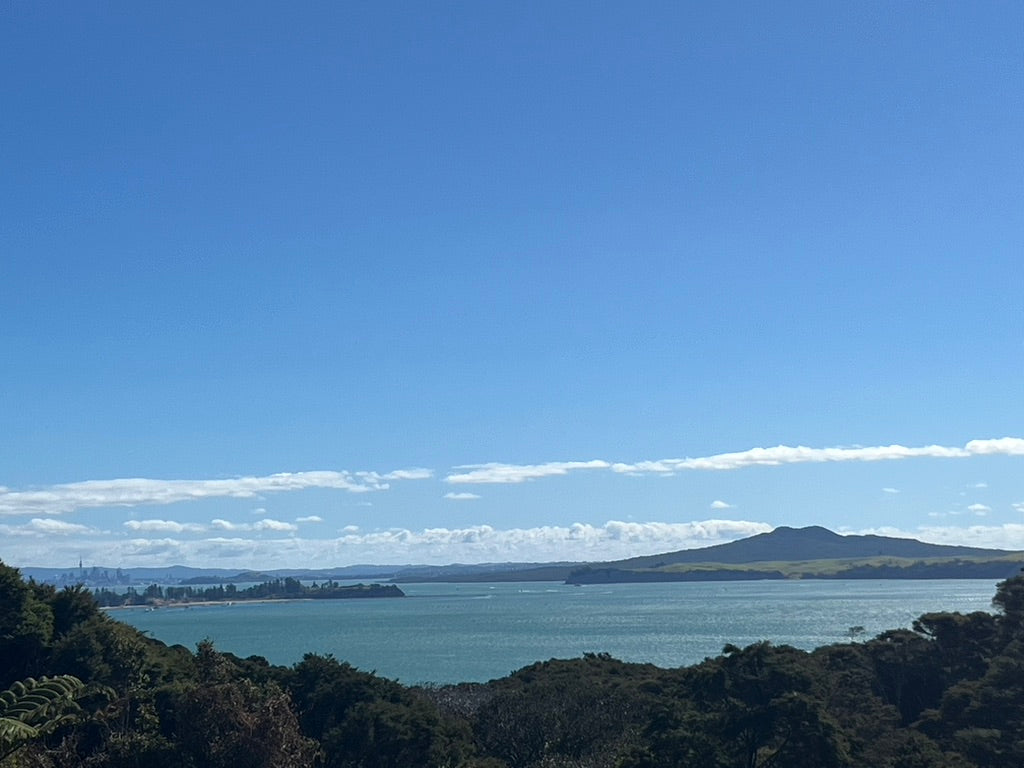 Private Full Day Wine and Food Tour (6 hours)