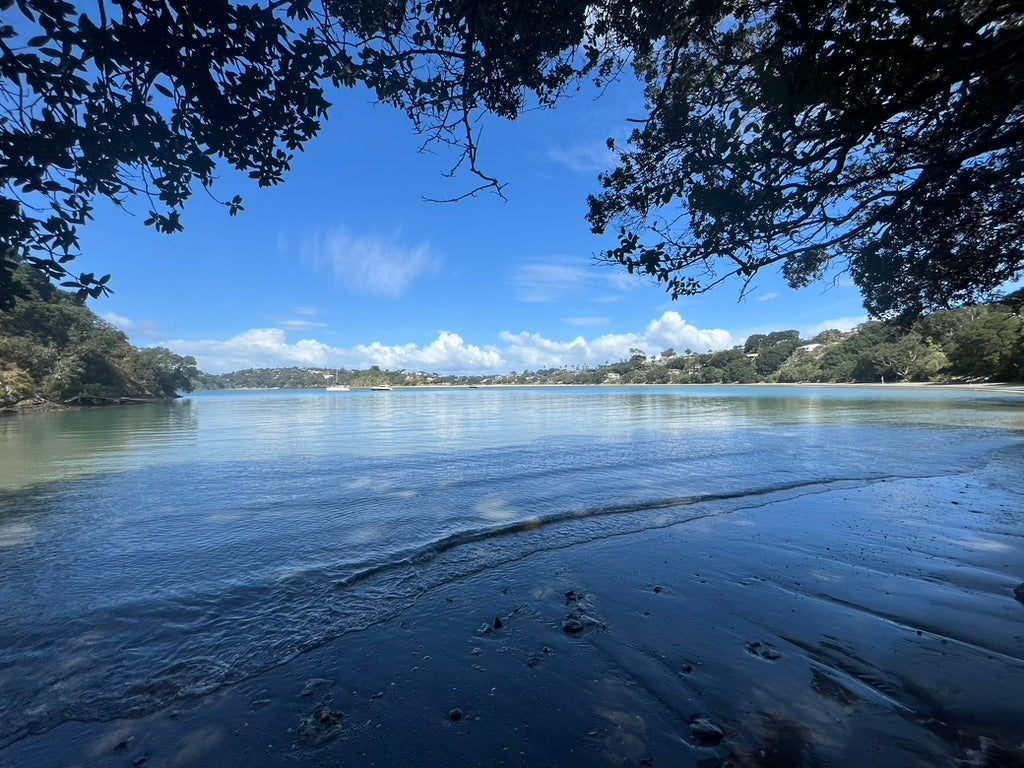 Oneroa Beach Waiheke Island - Motu Tours