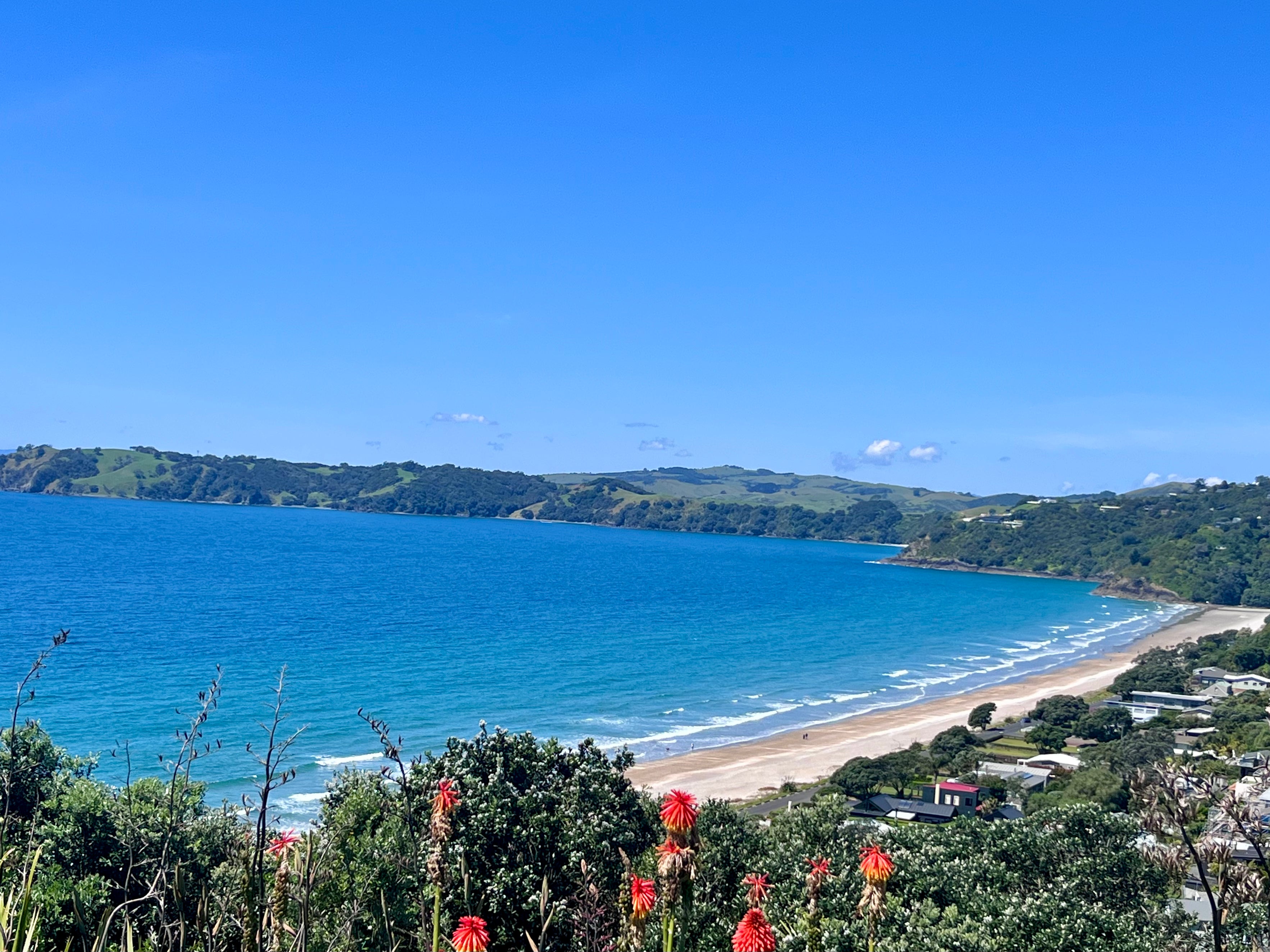 Onetangi Lookout Waiheke Island Motu Tours