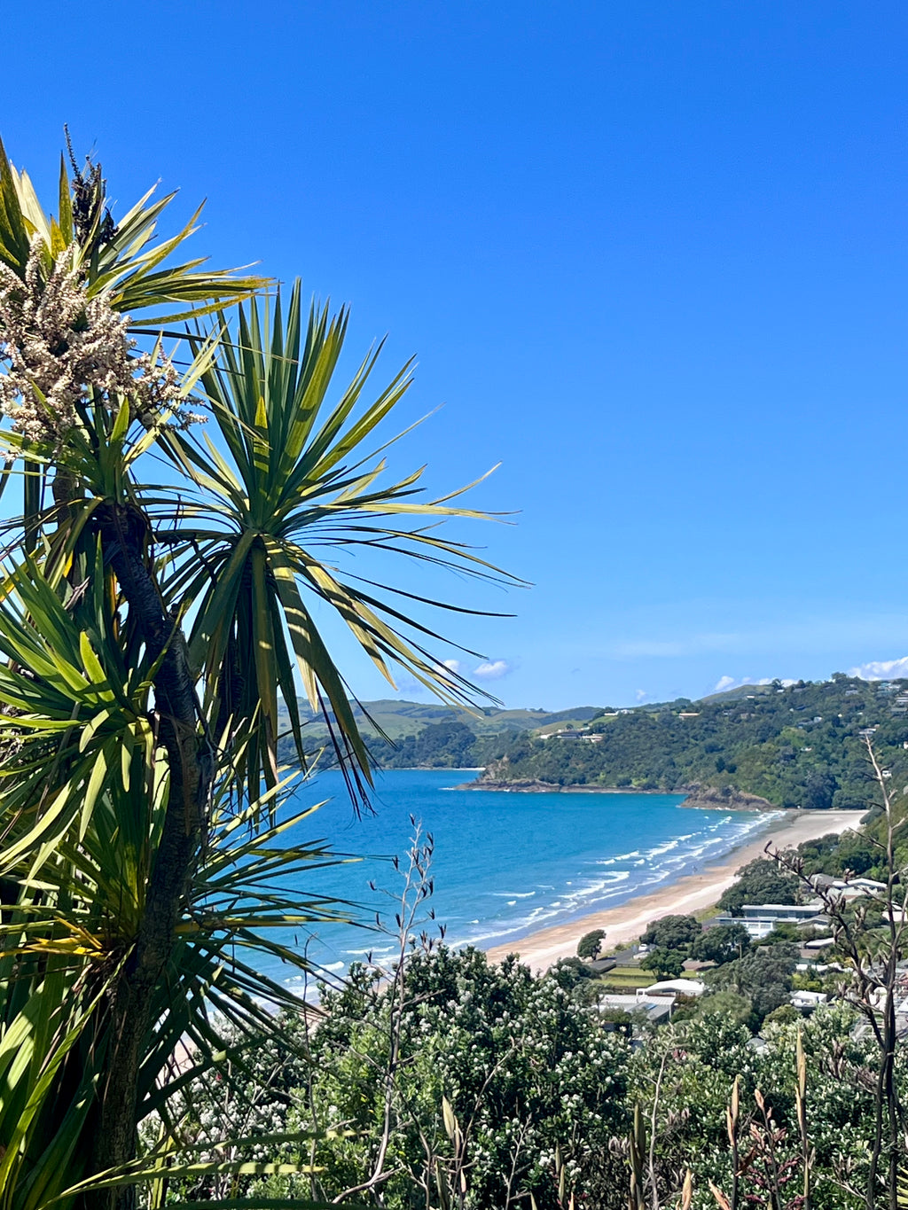 Private Full Day Wine and Food Tour (6 hours)