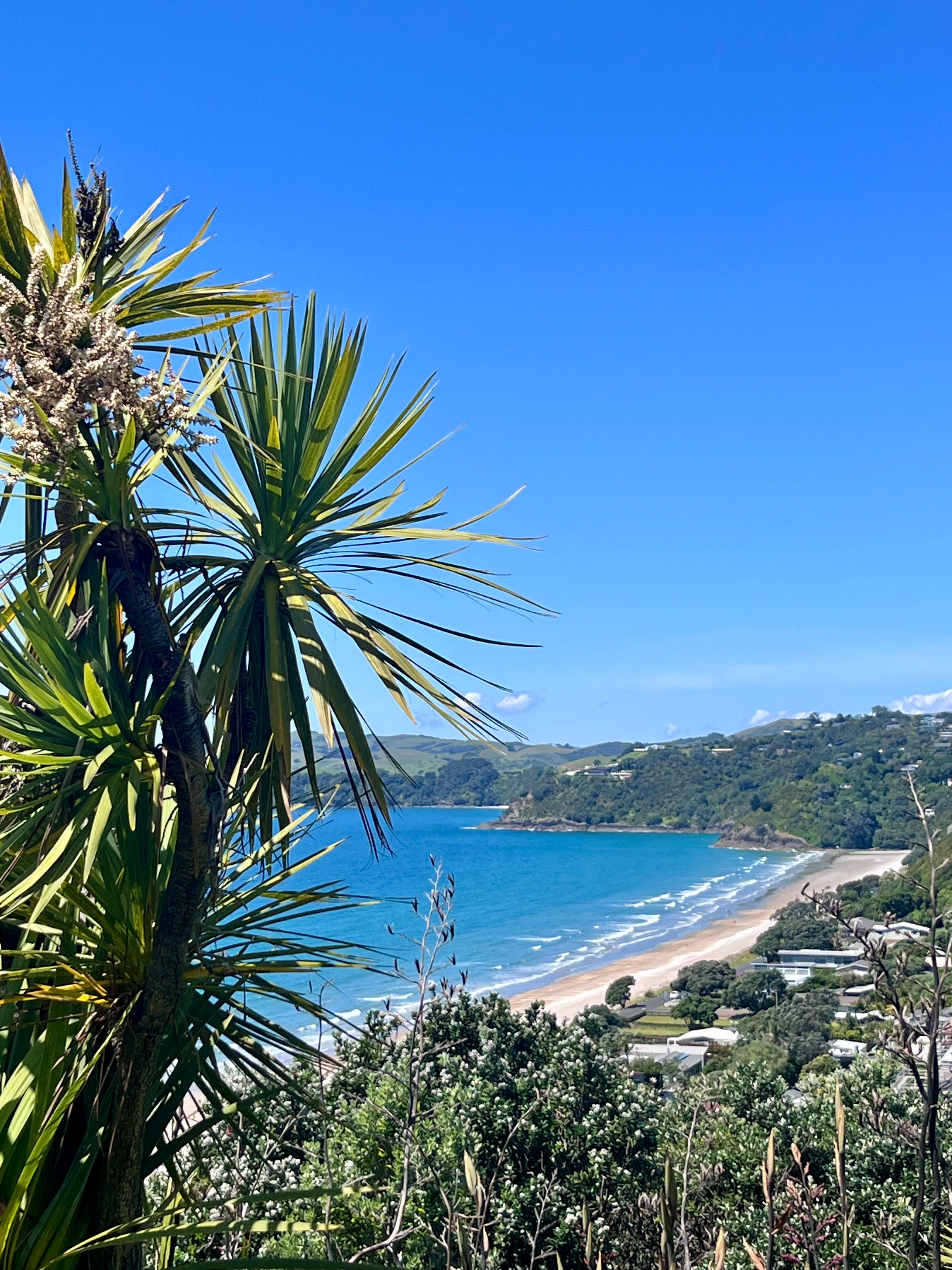 Private Full Day Wine and Food Tour (6 hours)