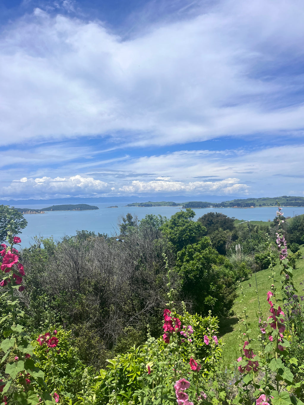 Private Full Day Freedom Tour - 6 hours