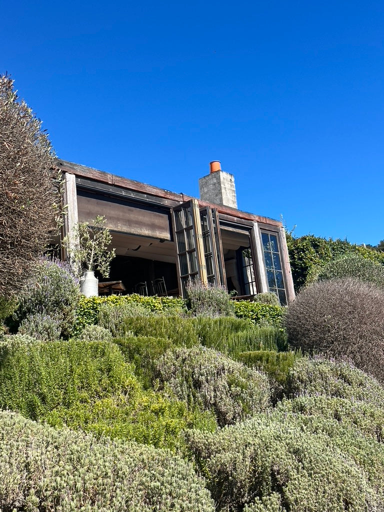 Private Full Day Wine and Food Tour (6 hours)