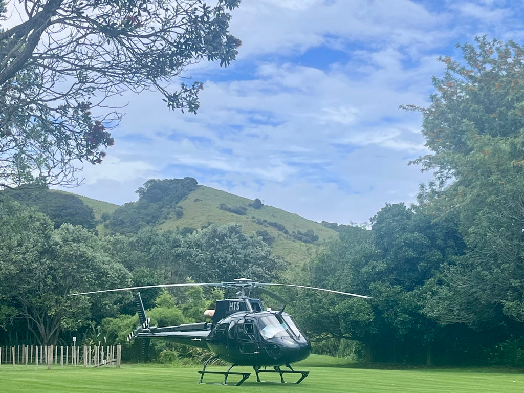 Private Full Day Freedom Tour - 6 hours