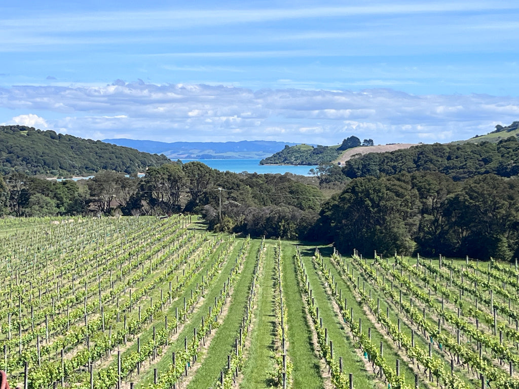 Private Full Day Freedom Tour - 6 hours