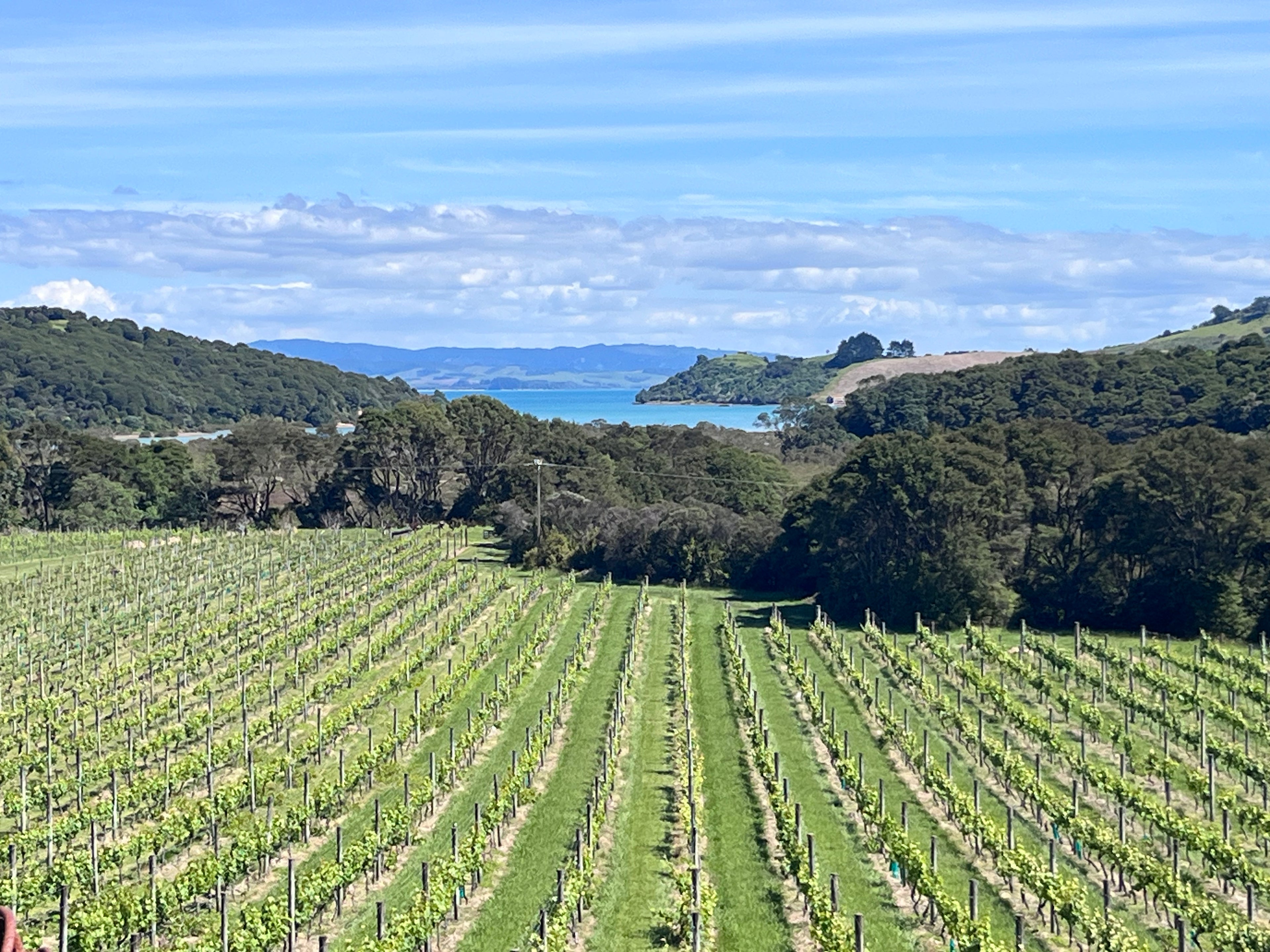 Private Full Day Freedom Tour - 6 hours