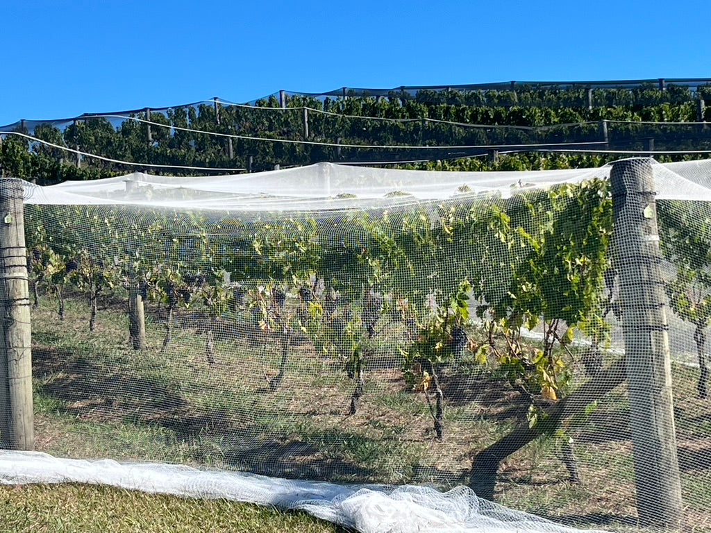 Private Full Day Wine and Food Tour (6 hours)