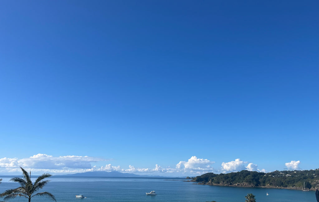 Private Full Day Freedom Tour - 6 hours