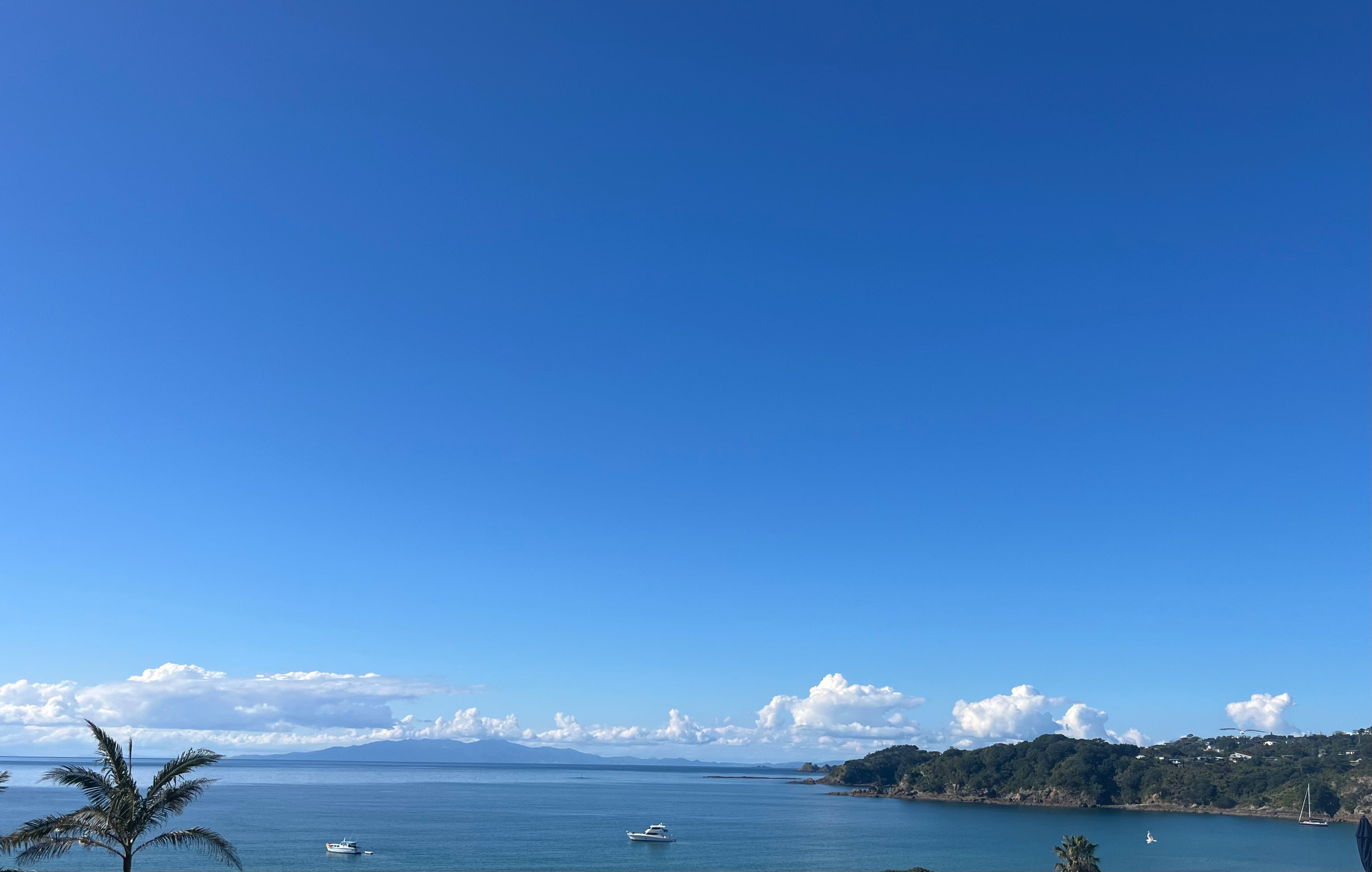 Private Full Day Freedom Tour - 6 hours