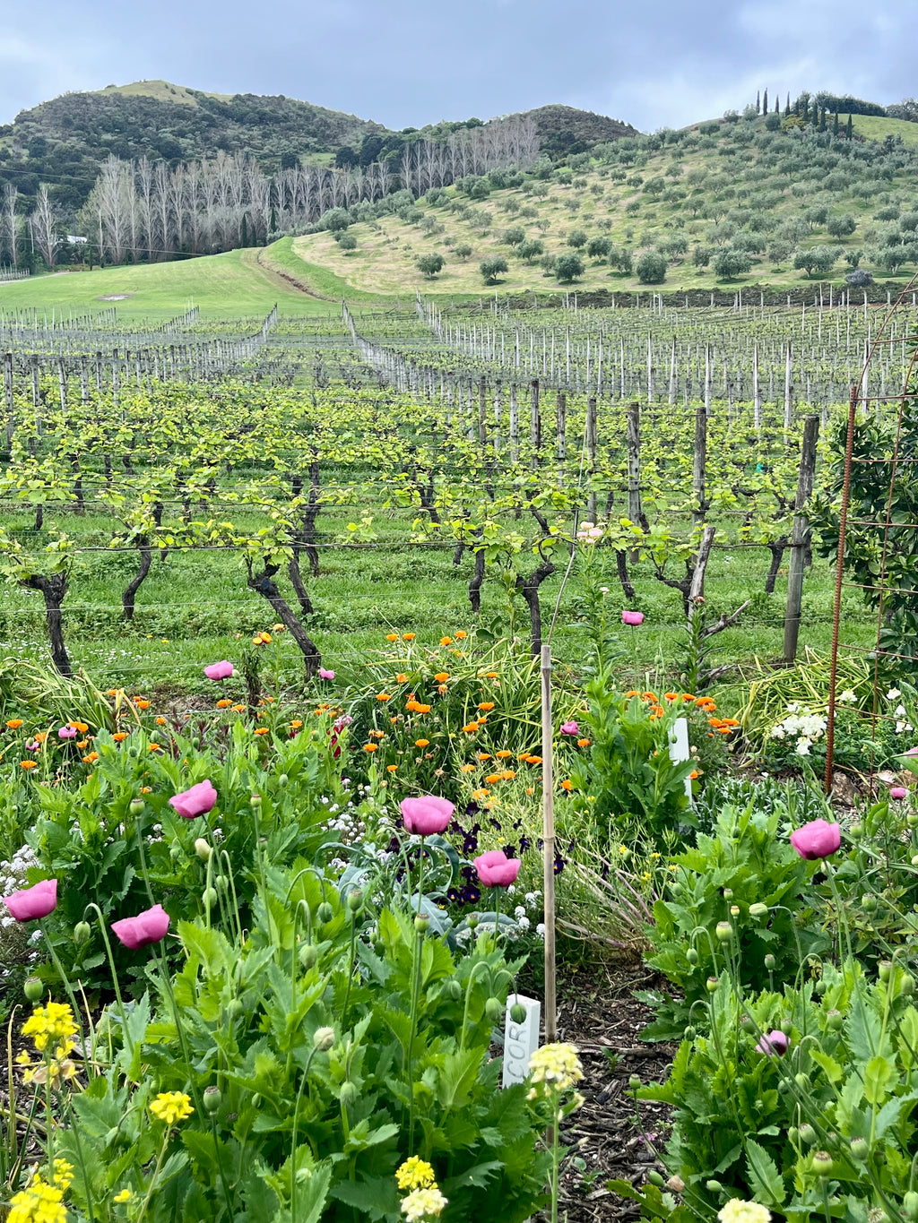 Private Full Day Freedom Tour - 6 hours