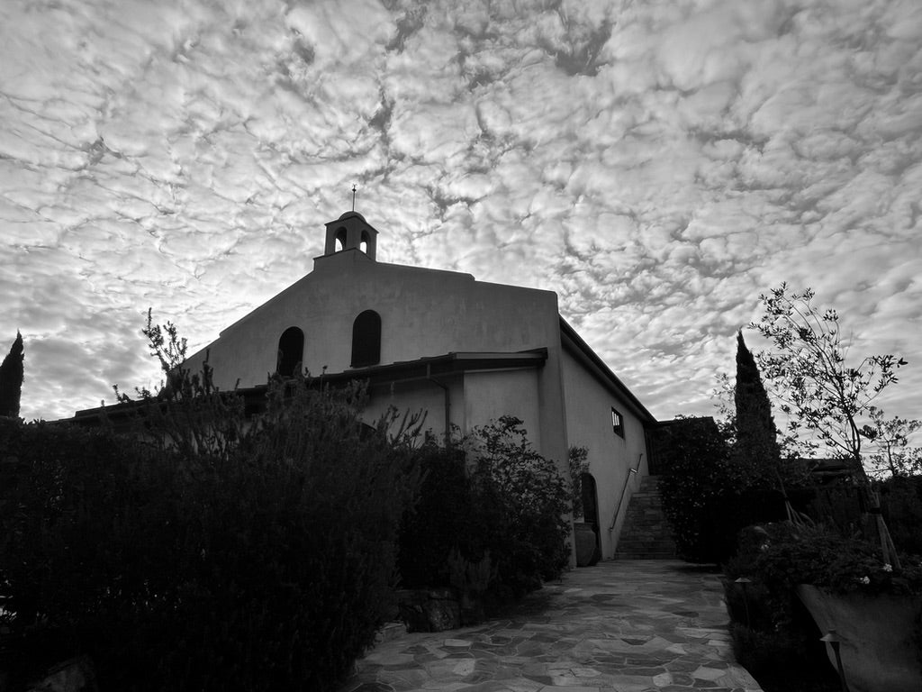 Private Full Day Wine and Food Tour (6 hours)