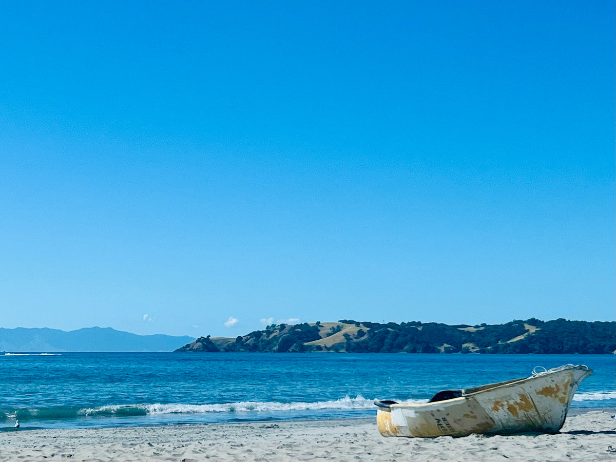 Boats on Onetangi Beach Motu Tours
