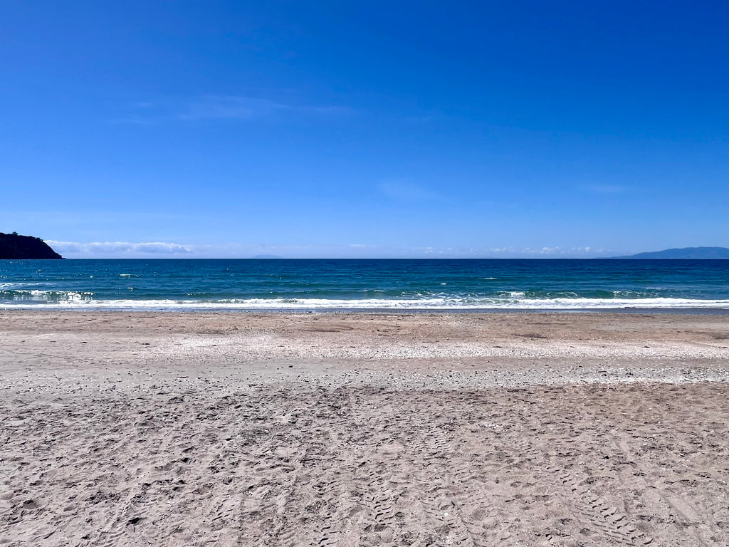 Private Half Day Wine and Food Tour 4 Hours