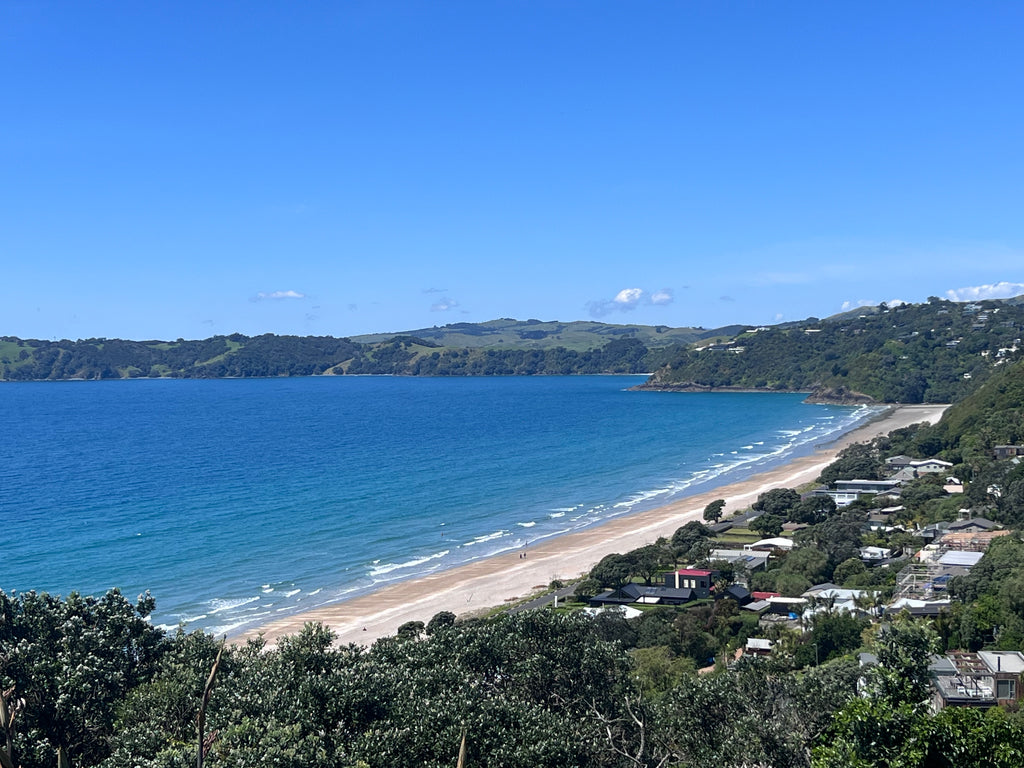 Private Half Day Freedom Tour | 4 hours
