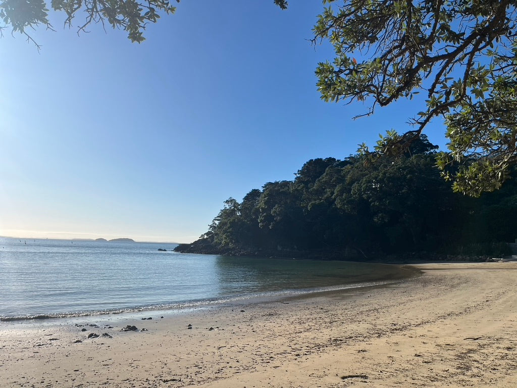 Private Full Day Freedom Tour - 6 hours