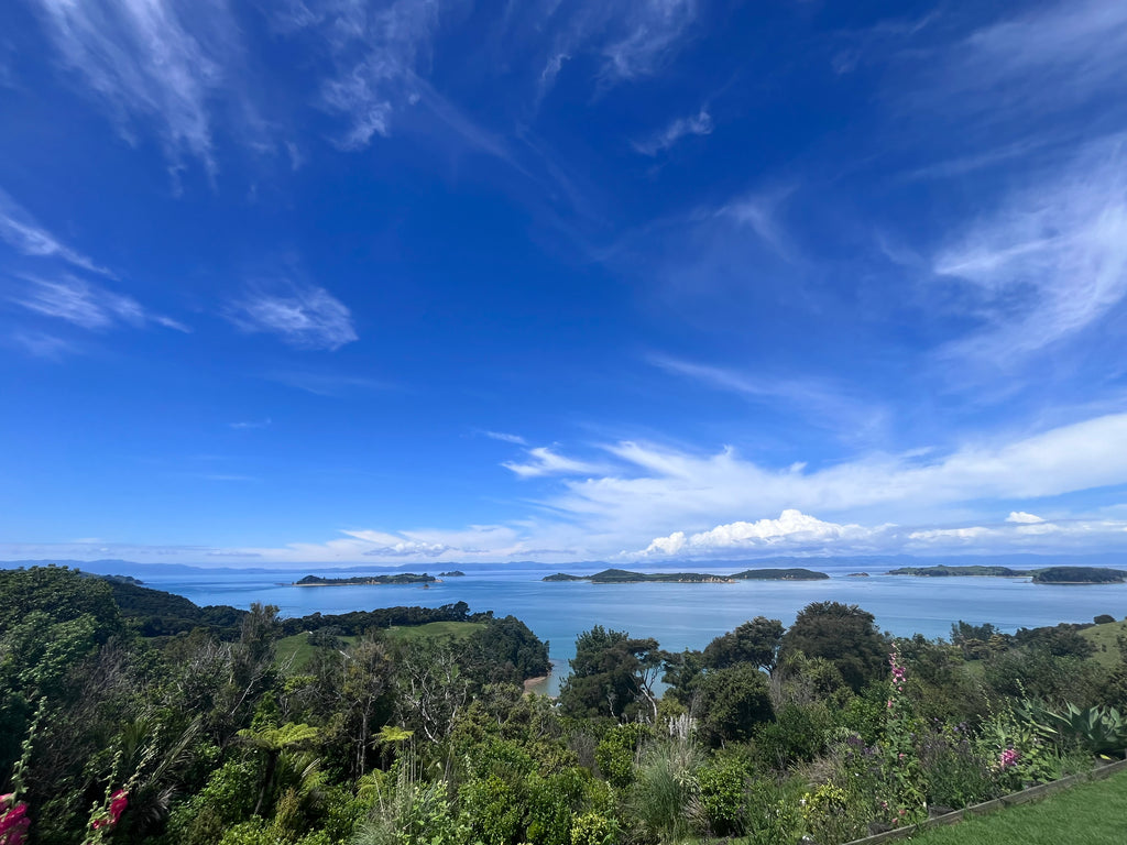 Looking East from the Gin Distillery on Waiheke Island- Motu Tours