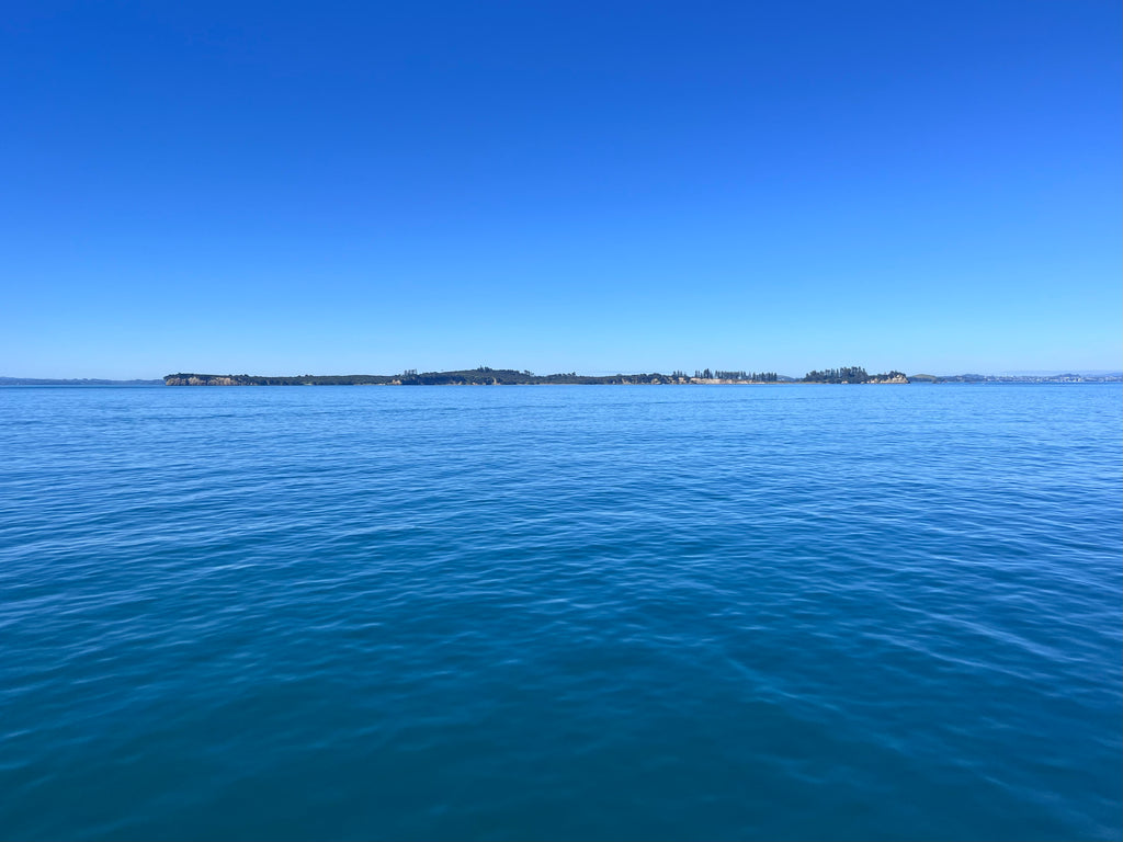 Private Full Day Freedom Tour - 6 hours