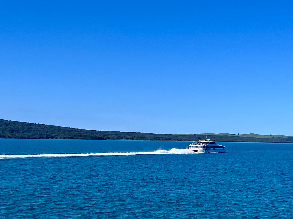 Private Full Day Freedom Tour - 6 hours