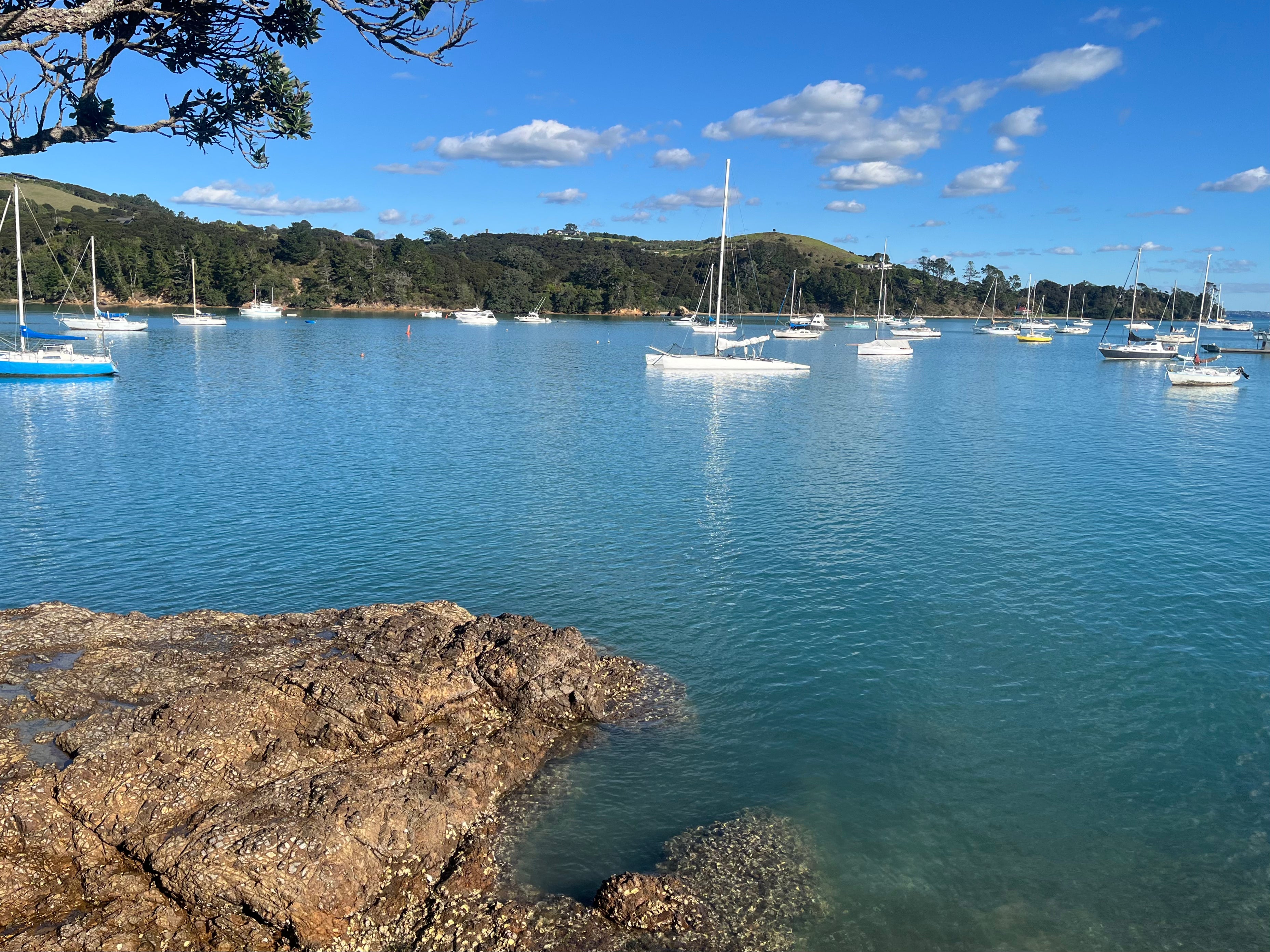 Private Half Day Wine and Food Tour 4 Hours