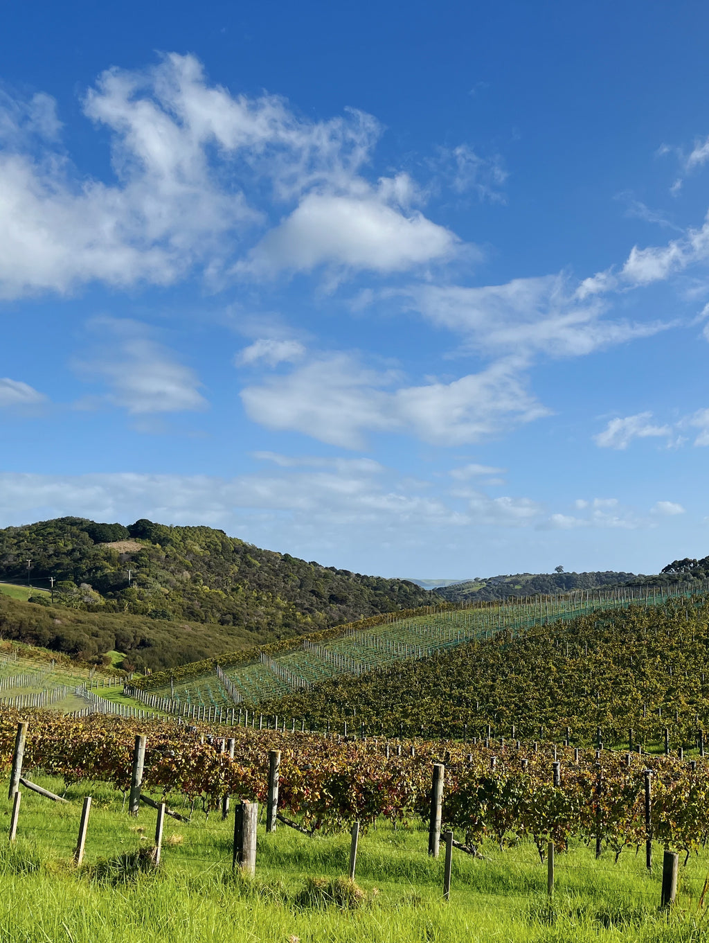 Private Half Day Tour | 4 hours