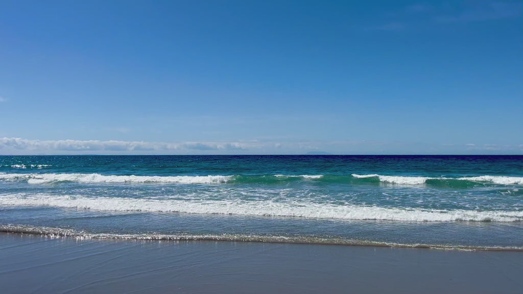 Private Half Day Tour | 4 hours