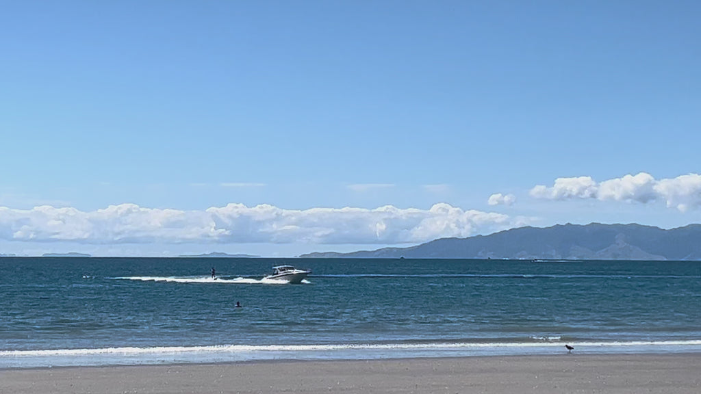 Private Full Day Freedom Tour - 6 hours